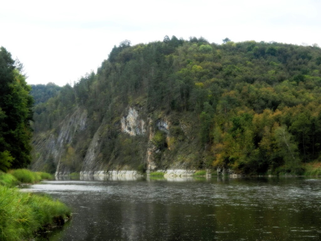 ������������� �����������