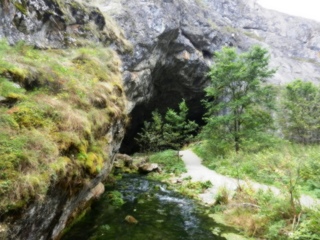 ������������� �����������