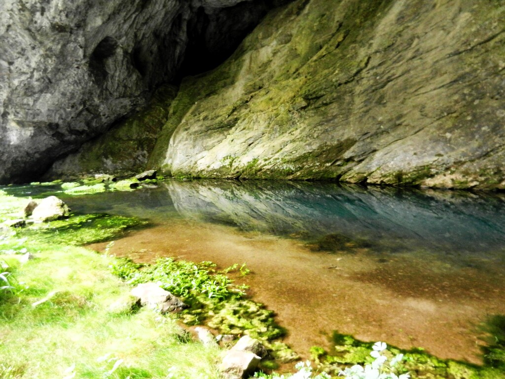 ������������� �����������