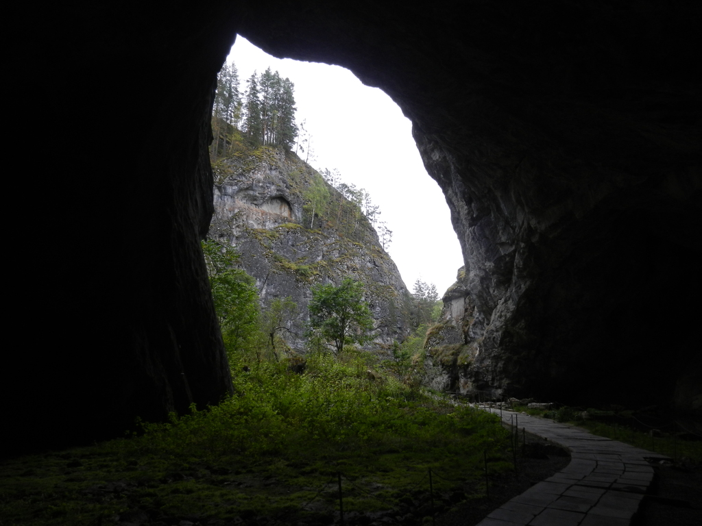 ������������� �����������