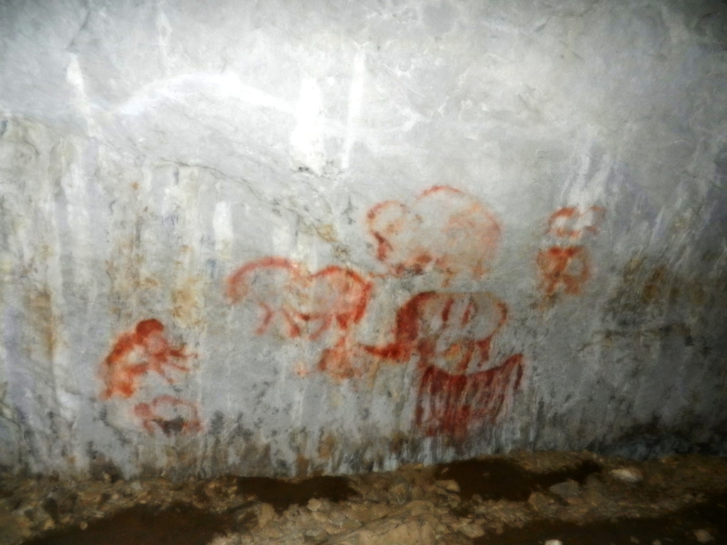 ������������� �����������