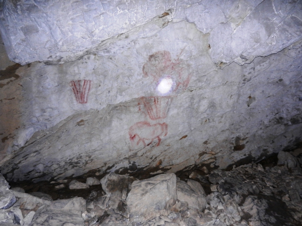 ������������� �����������