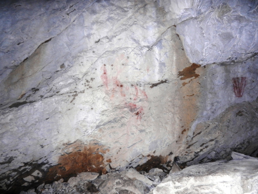 ������������� �����������