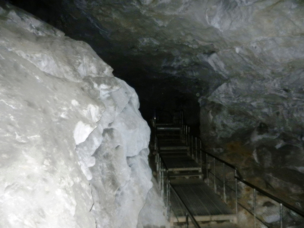 ������������� �����������