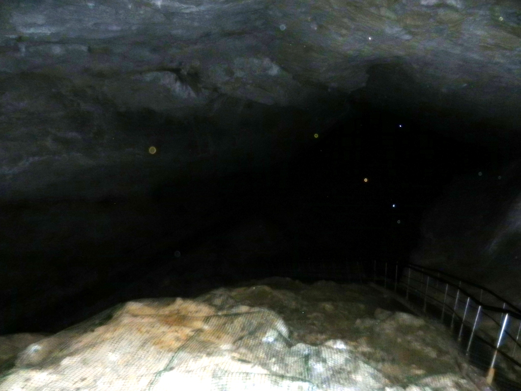 ������������� �����������