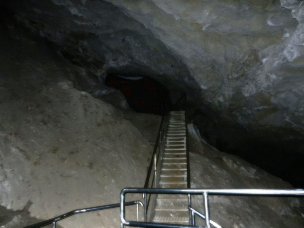 ������������� �����������