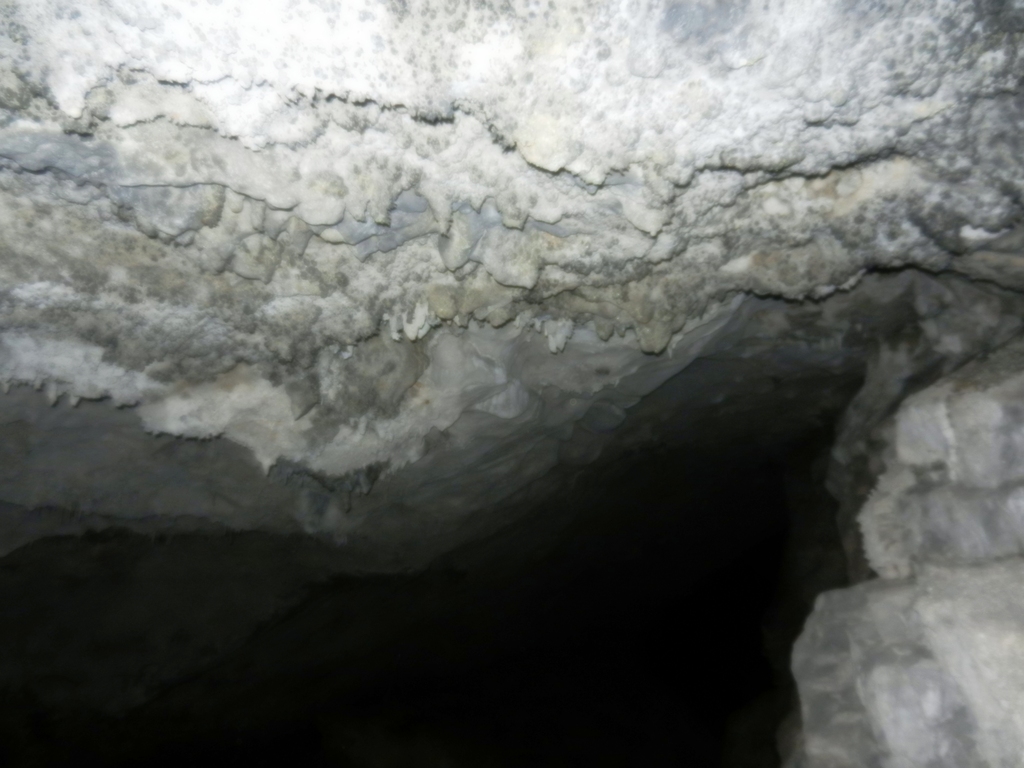 ������������� �����������