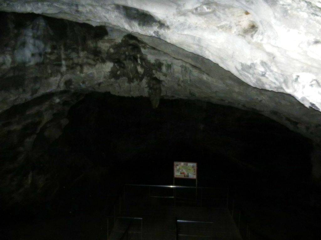 ������������� �����������