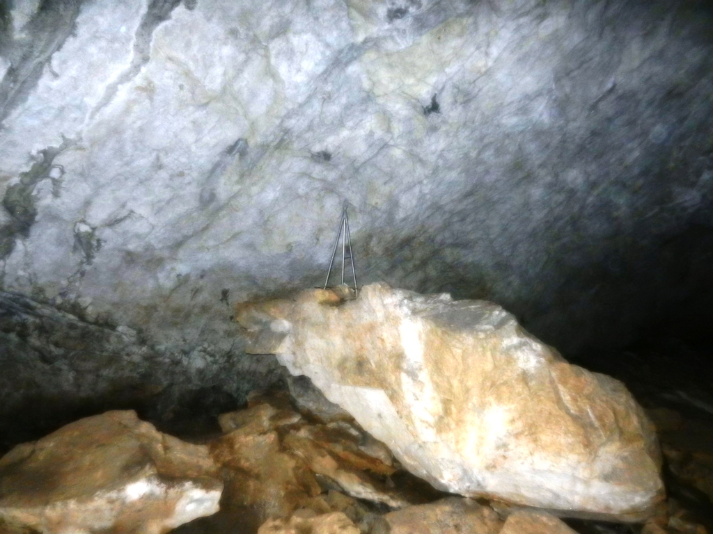 ������������� �����������