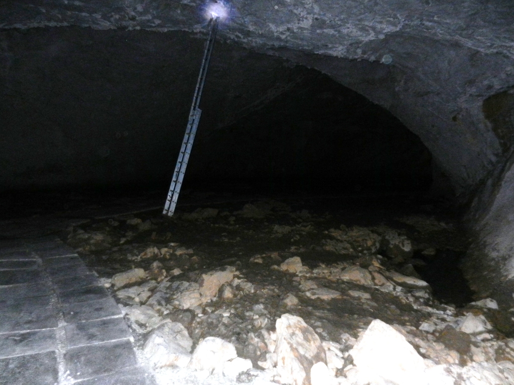 ������������� �����������