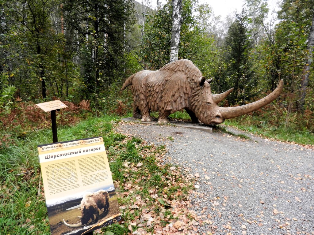 ������������� �����������