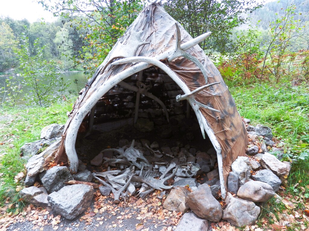 ������������� �����������