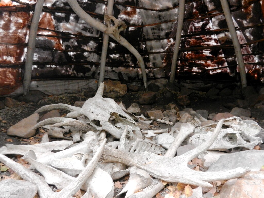 ������������� �����������