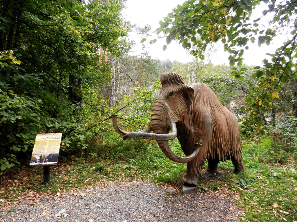 ������������� �����������