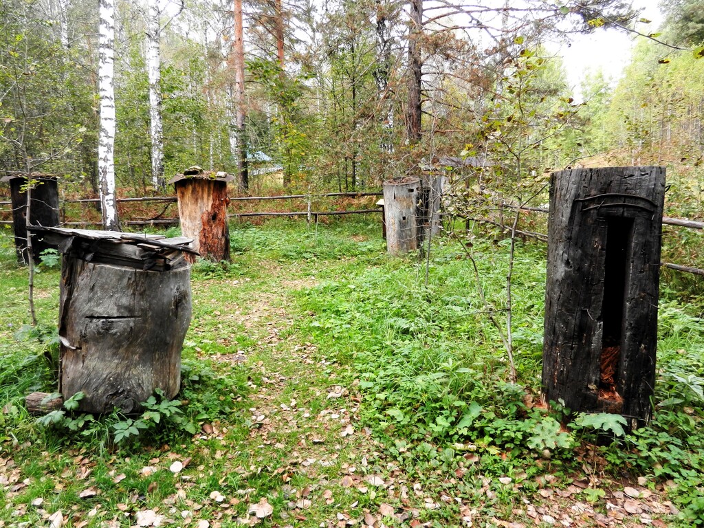 ������������� �����������