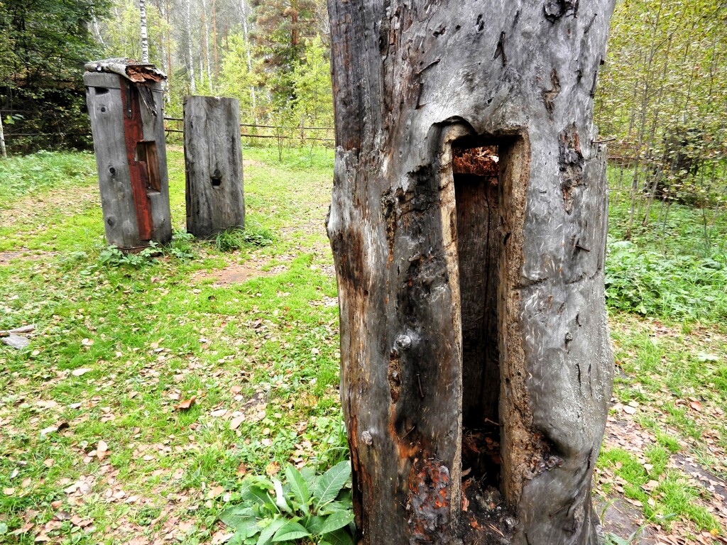 ������������� �����������