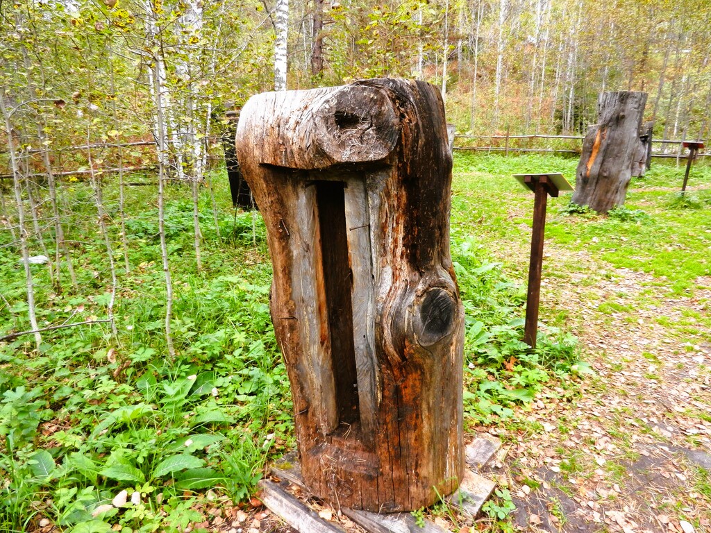 ������������� �����������