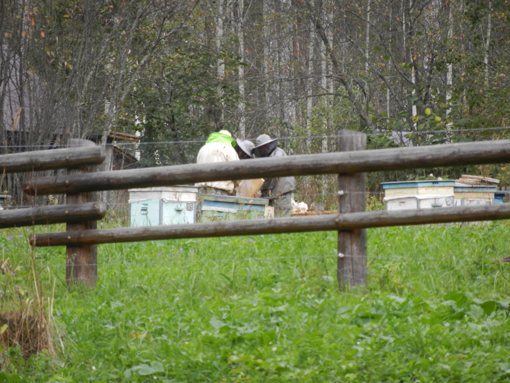 ������������� �����������