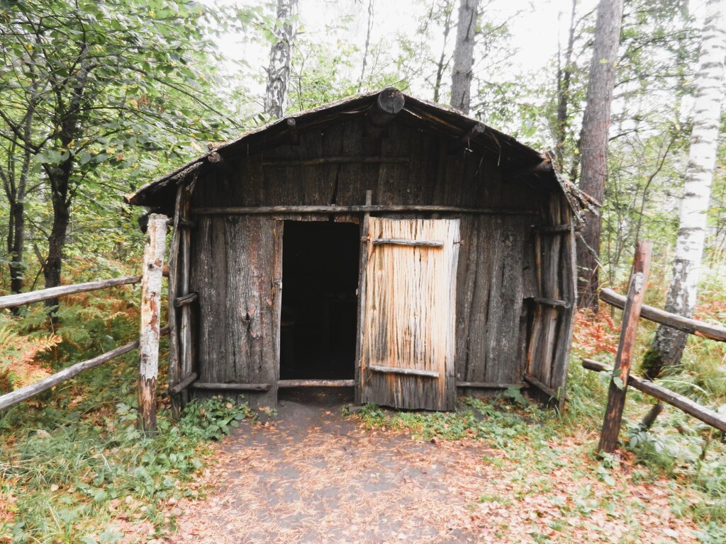 ������������� �����������