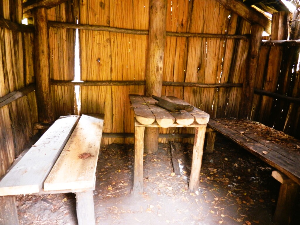 ������������� �����������