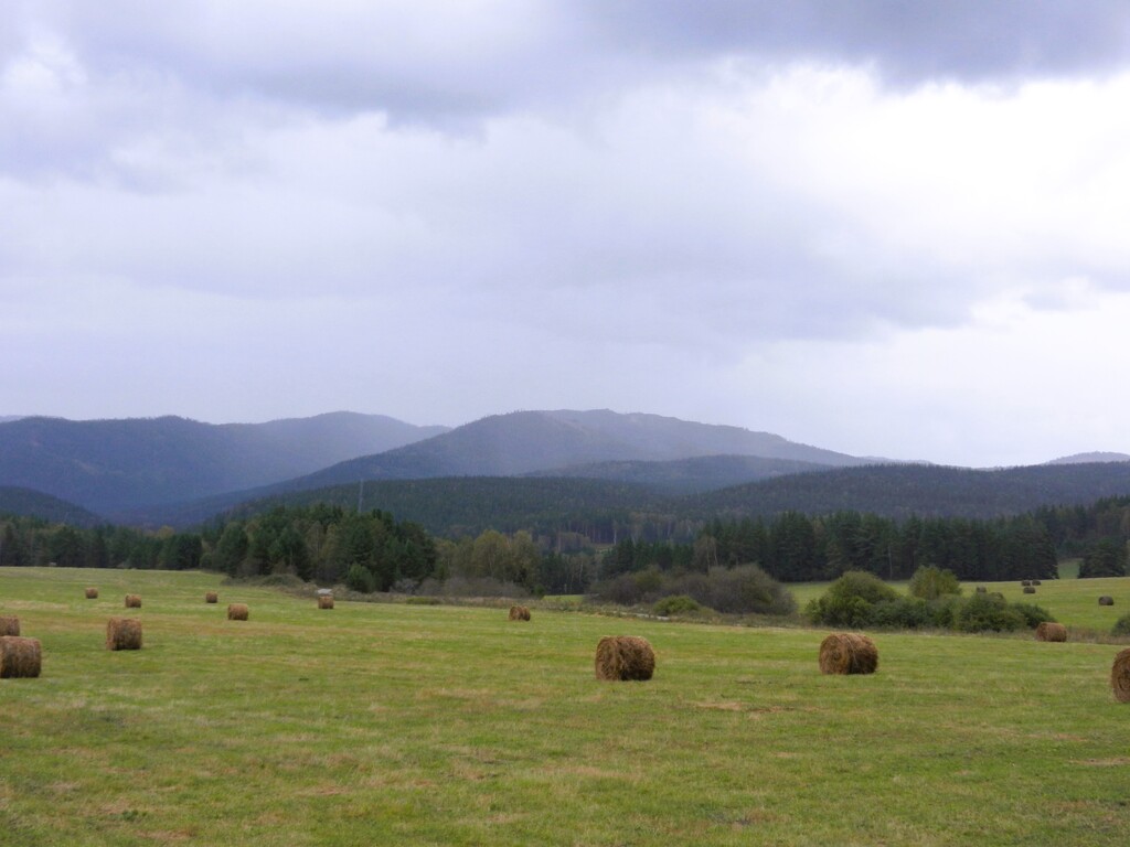 ������������� �����������