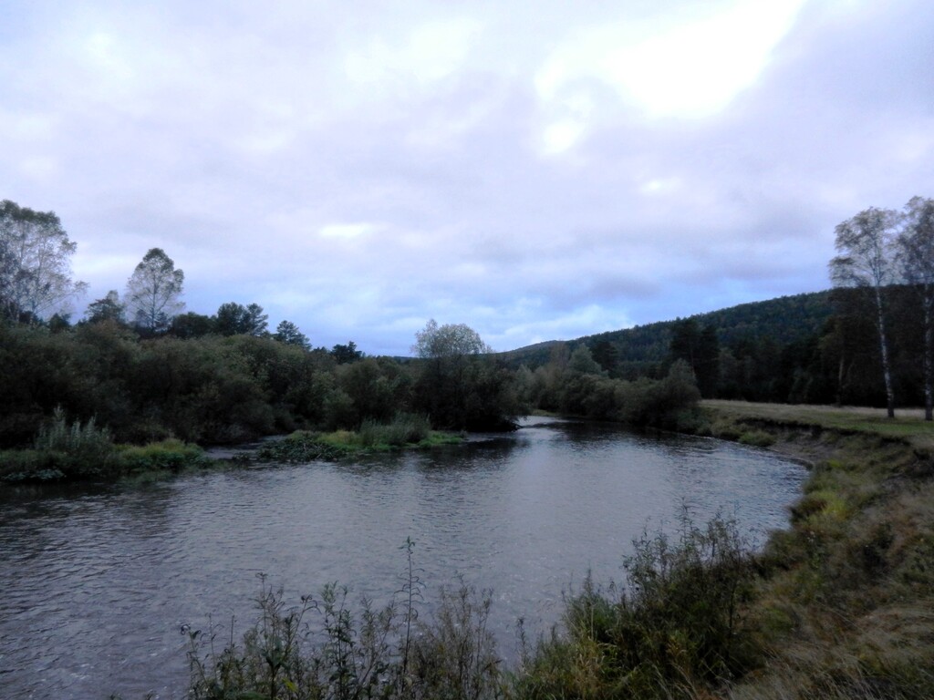 ������������� �����������