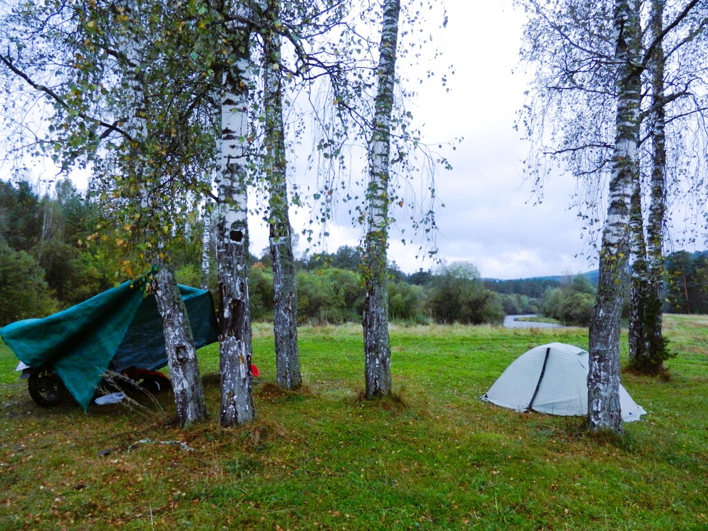 ������������� �����������