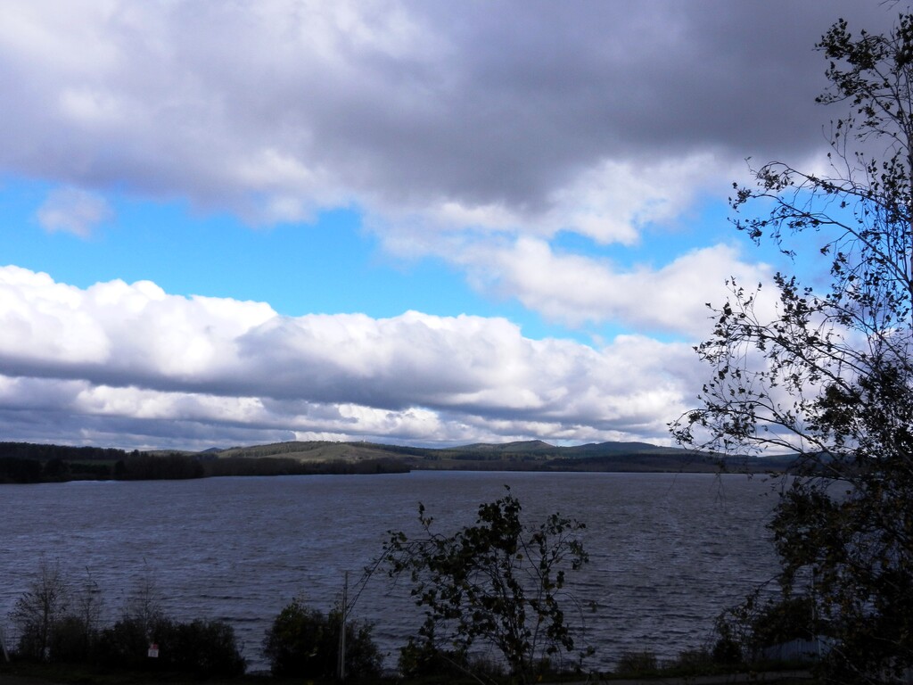 ������������� �����������