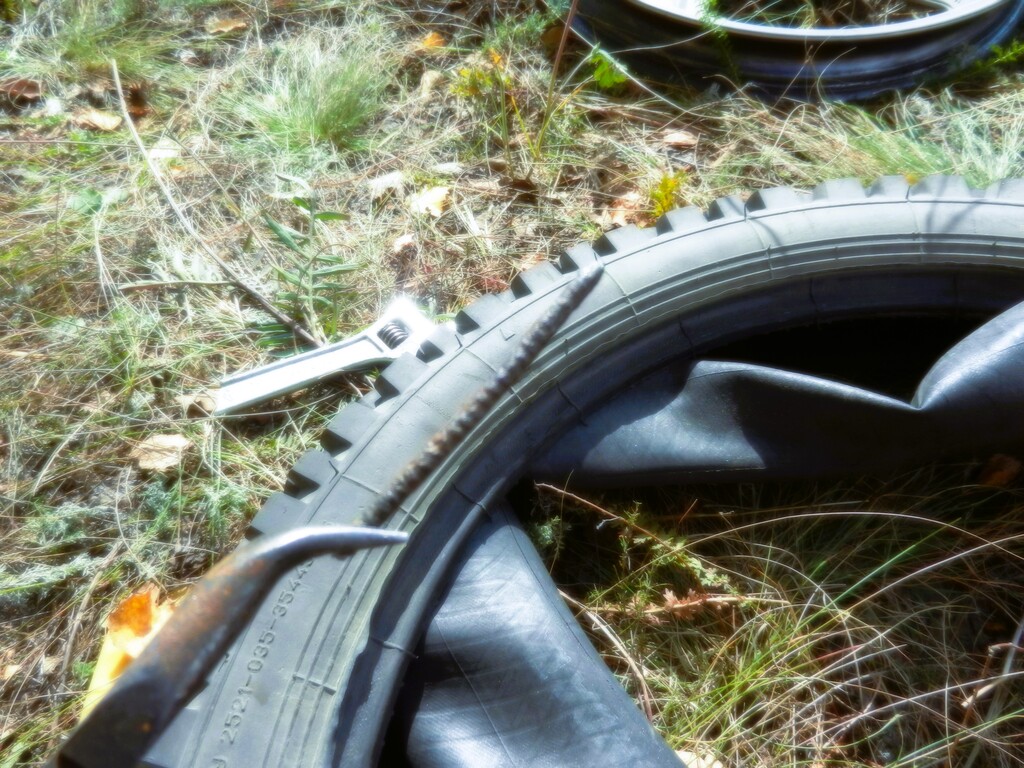 ������������� �����������