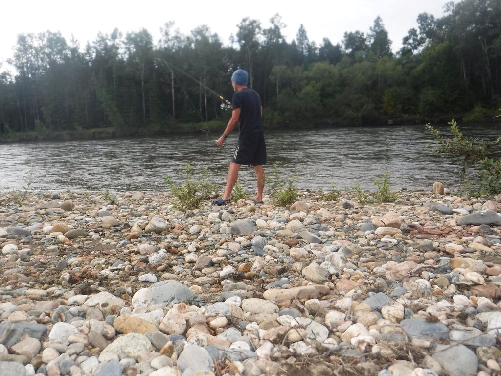 ������������� �����������