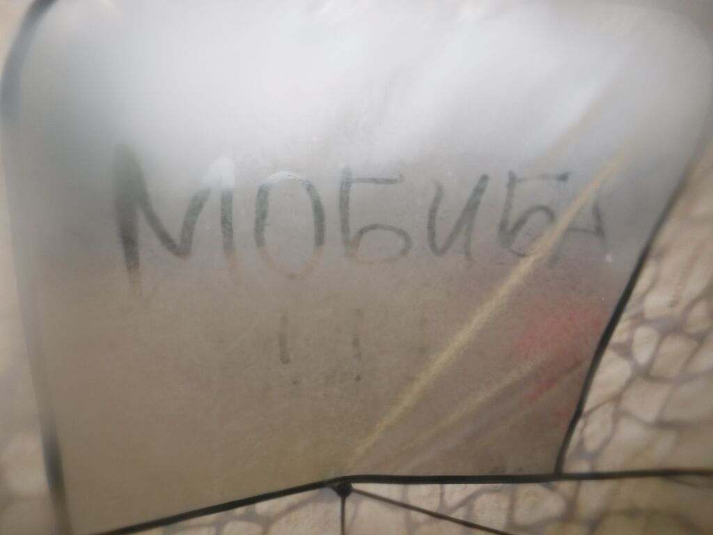 ������������� �����������