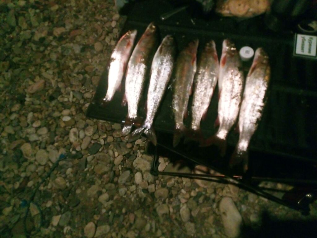 ������������� �����������