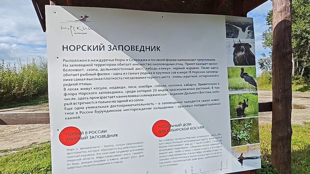 ������������� �����������