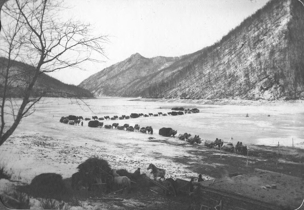 ������������� �����������