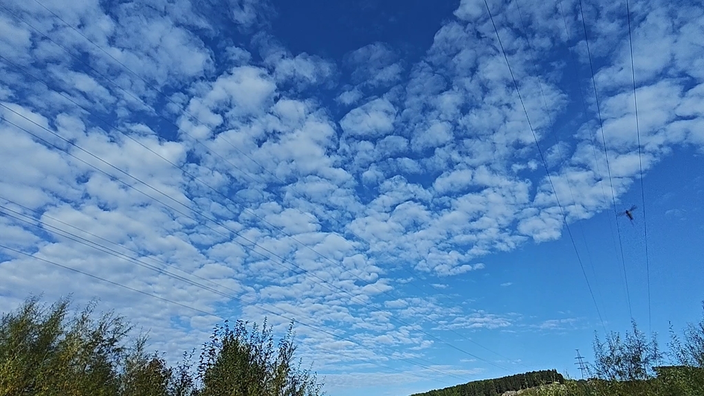 ������������� �����������