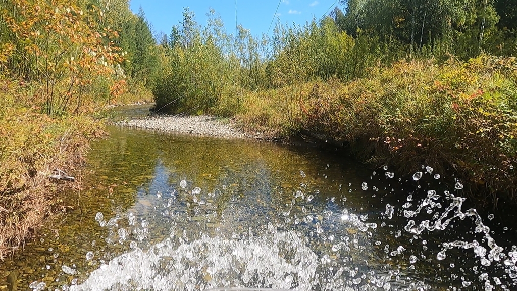 ������������� �����������