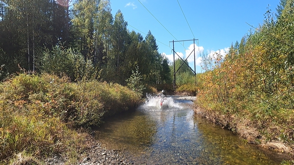 ������������� �����������