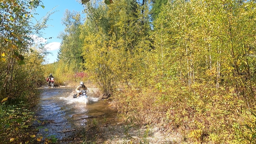 ������������� �����������