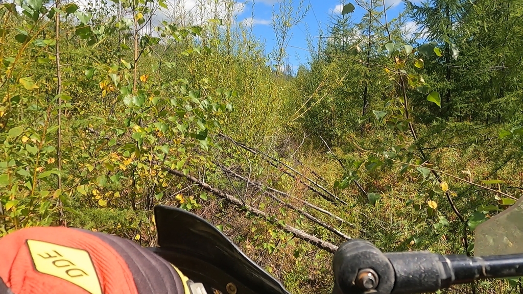 ������������� �����������