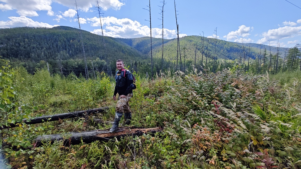 ������������� �����������