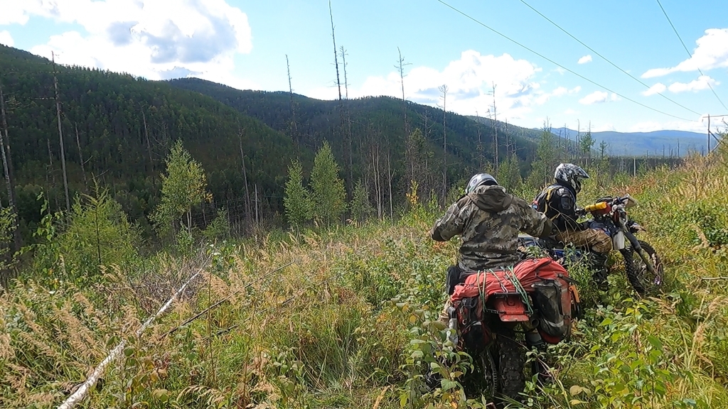 ������������� �����������