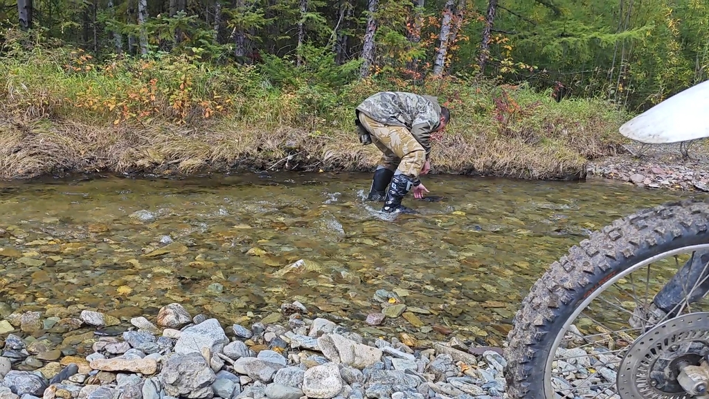 ������������� �����������