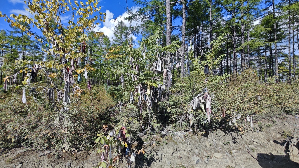 ������������� �����������