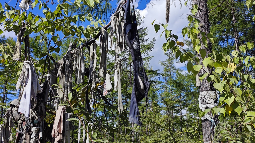 ������������� �����������