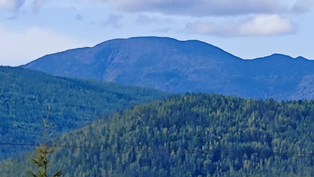 ������������� �����������