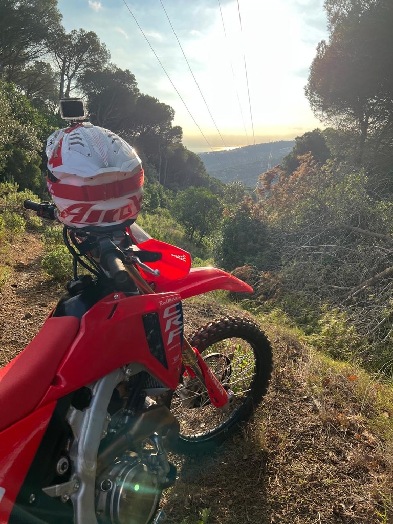 ������������� �����������