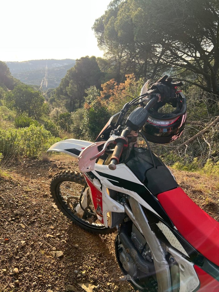 ������������� �����������