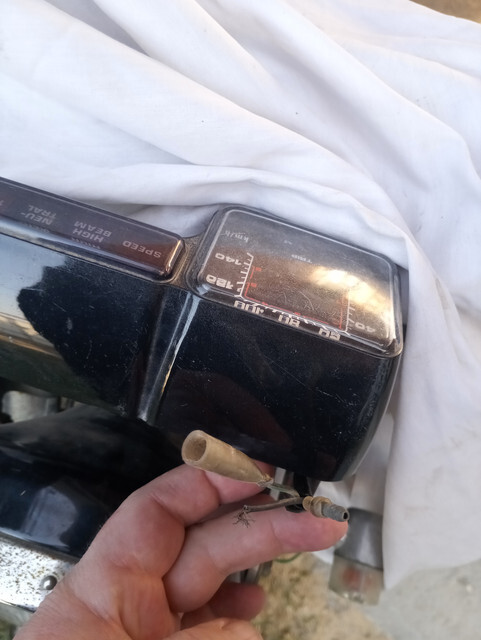 ������������� �����������