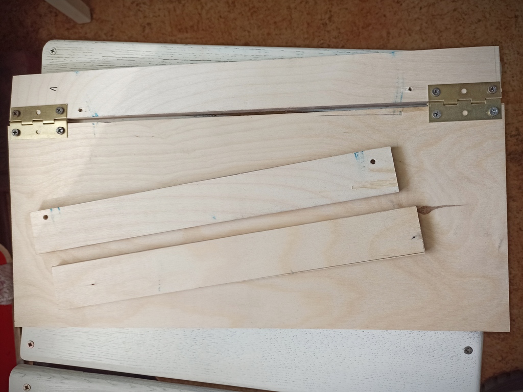 ������������� �����������