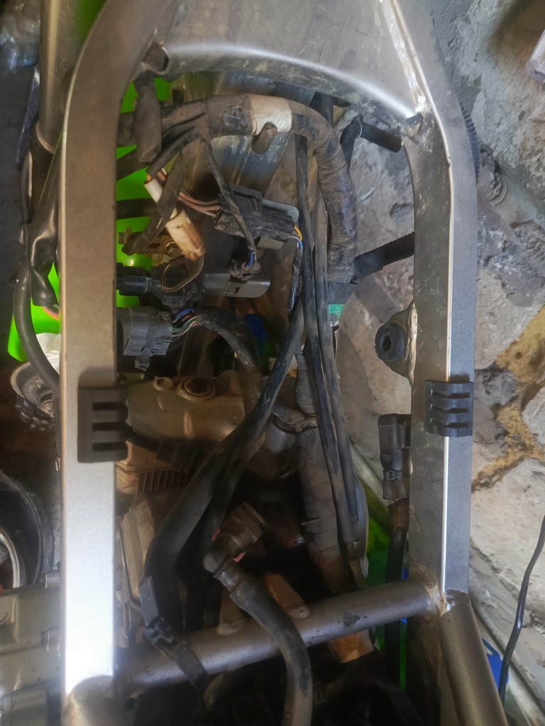 ������������� �����������